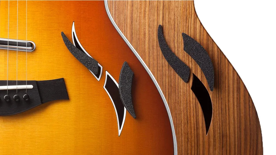 Taylor F-Hole Foam Insert Set