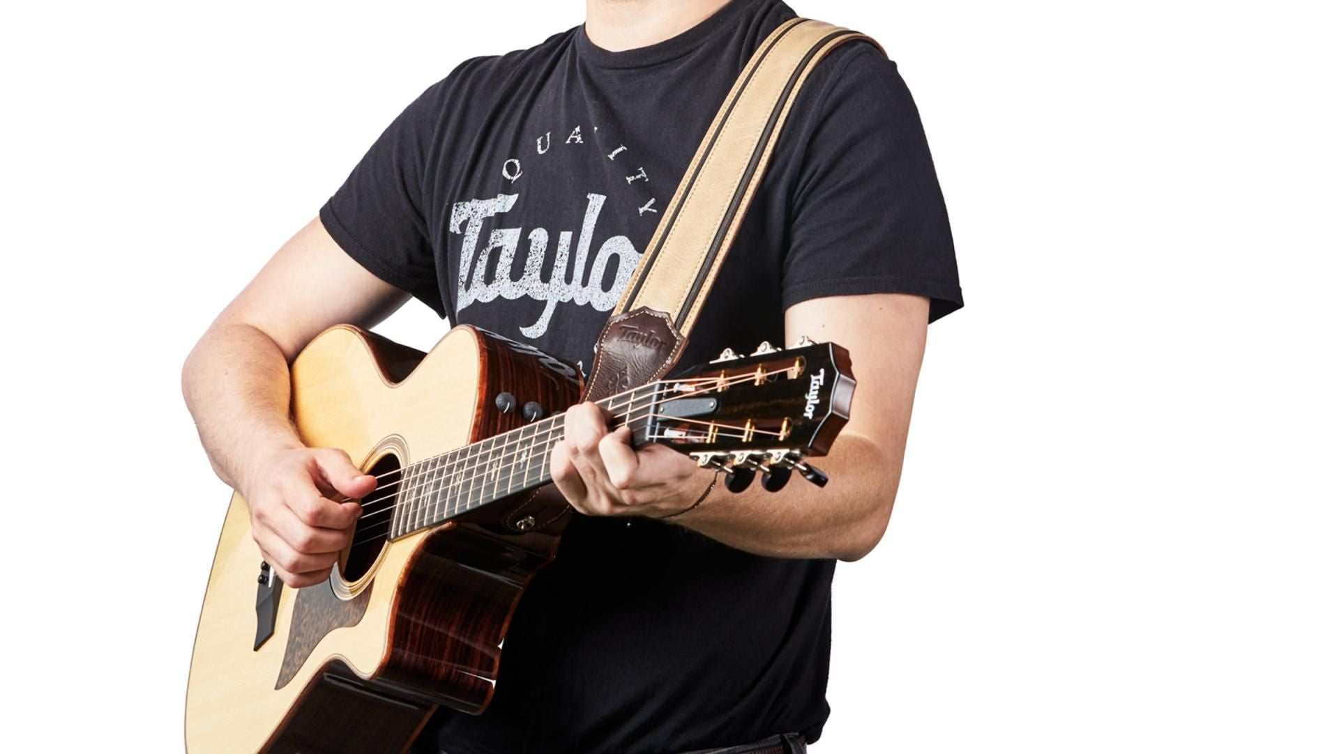 Taylor Reflections 2.5" Leather Guitar Strap, Spruce/Ebony
