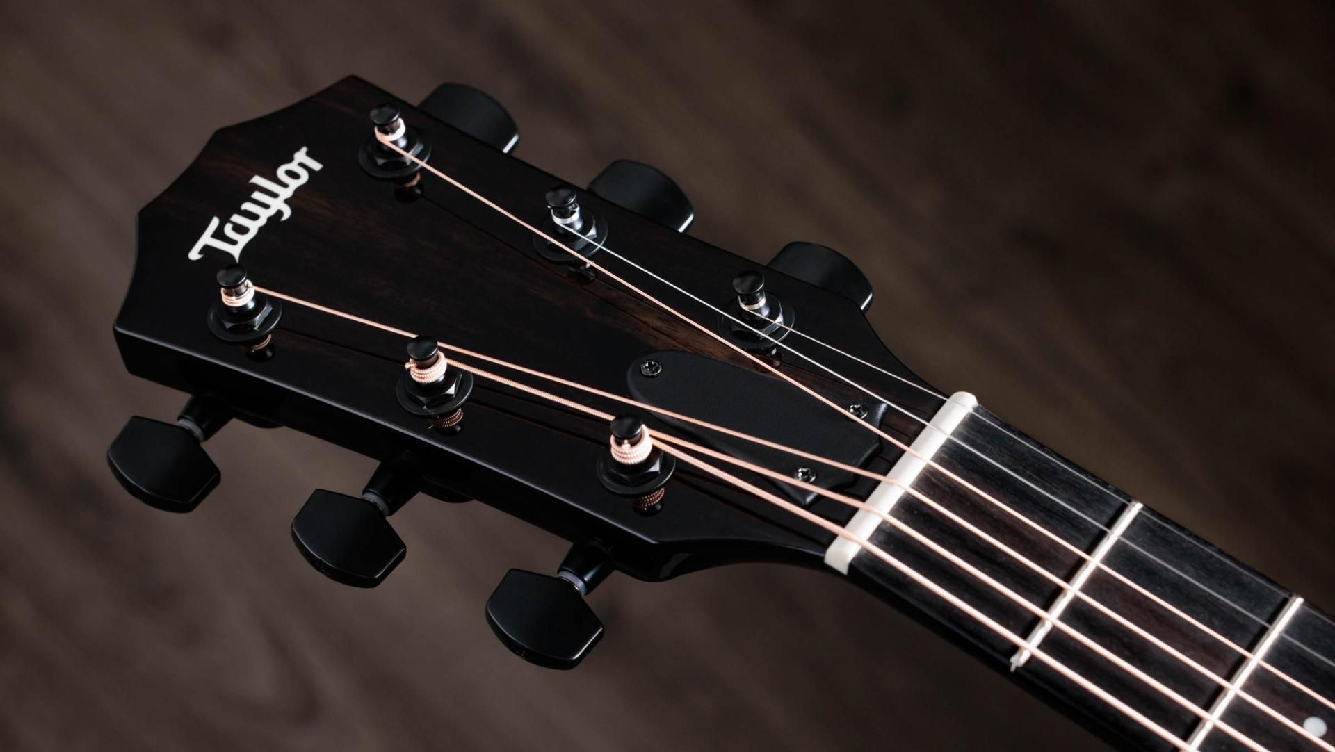Taylor 217e Plus Grand Pacific A/E Guitar - Black