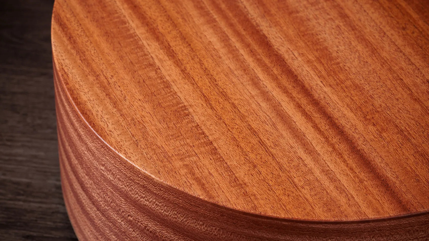 Taylor 24ce Grand Auditorium Acoustic-Electric Guitar