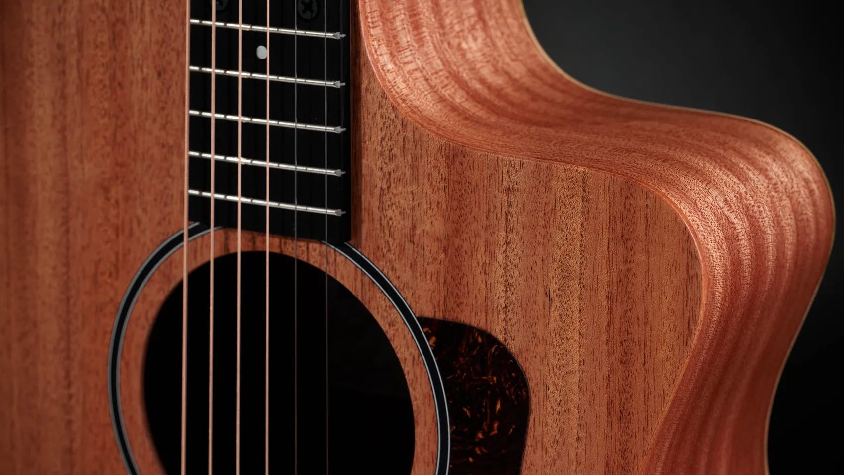 Taylor 24ce Grand Auditorium Acoustic-Electric Guitar