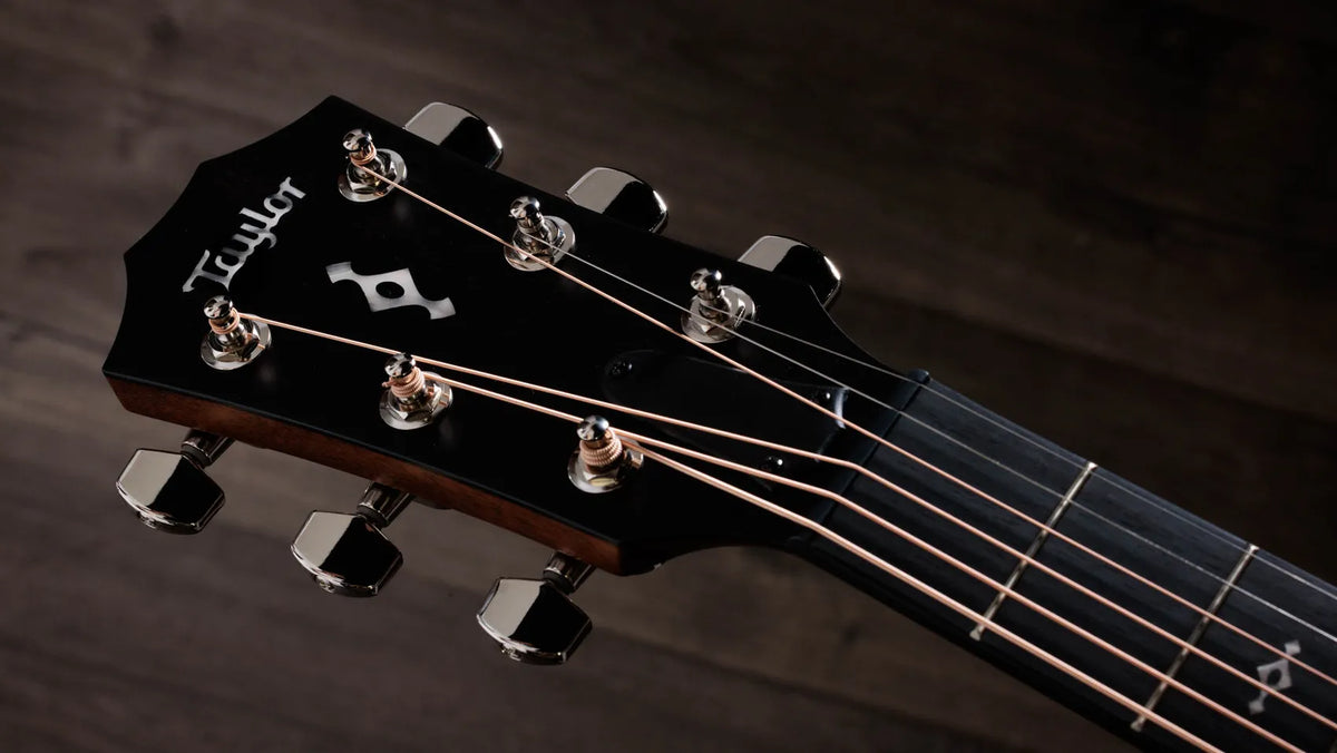 Taylor 414ce Next Generation Grand Auditorium Acoustic/Electric Guitar, Natural