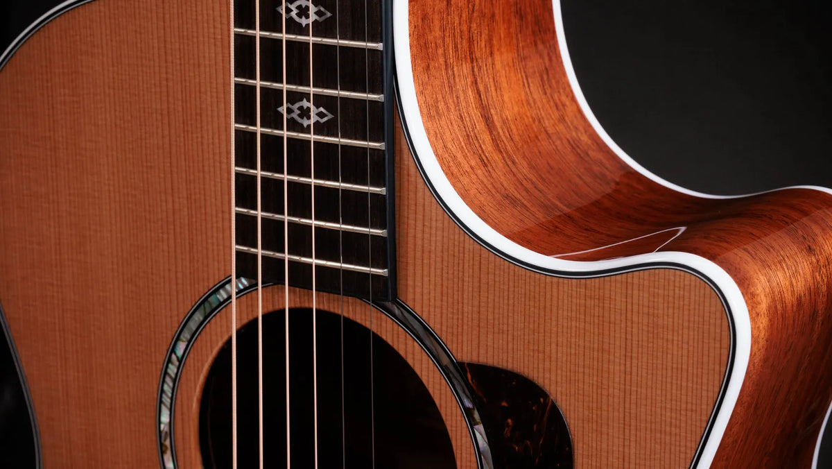 Taylor 514ce Next Generation Acoustic/Electric Guitar, Natural