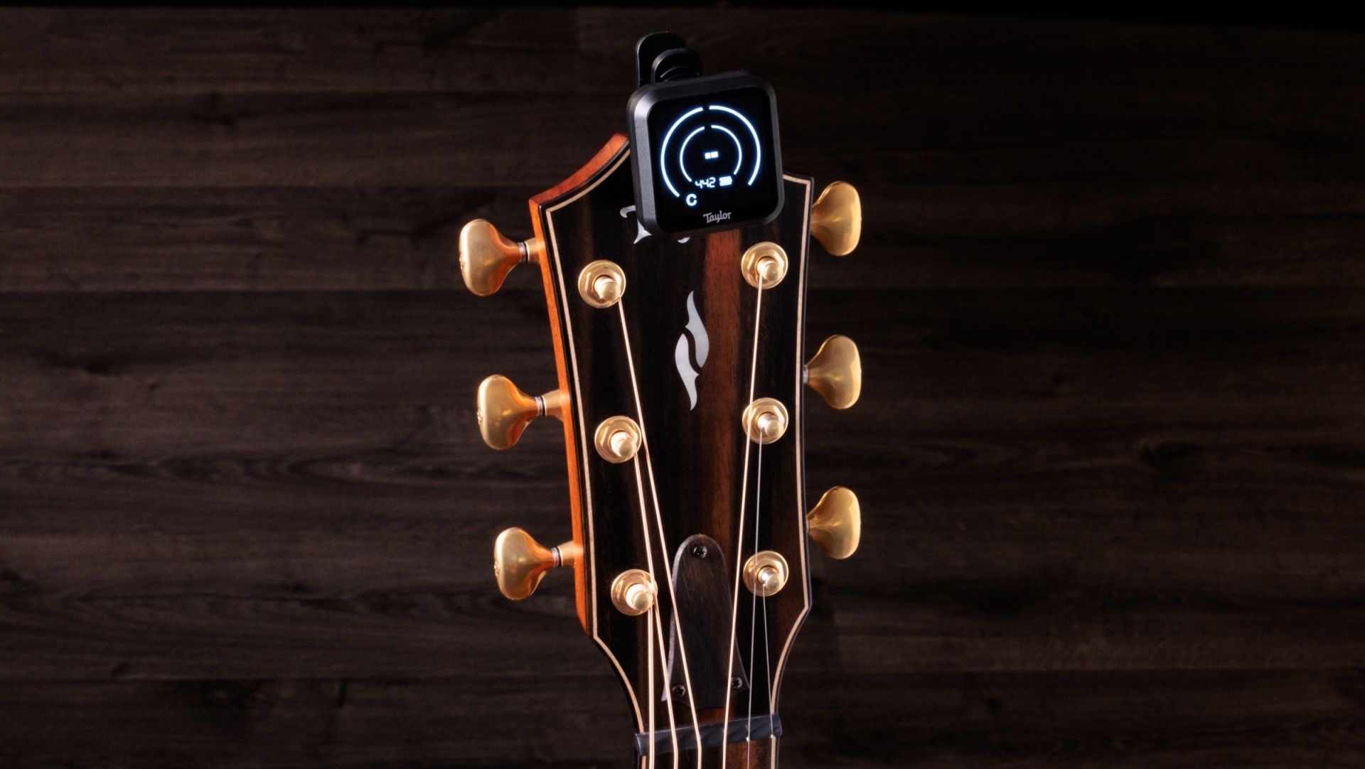 Taylor Digital Rechargeable Tuner