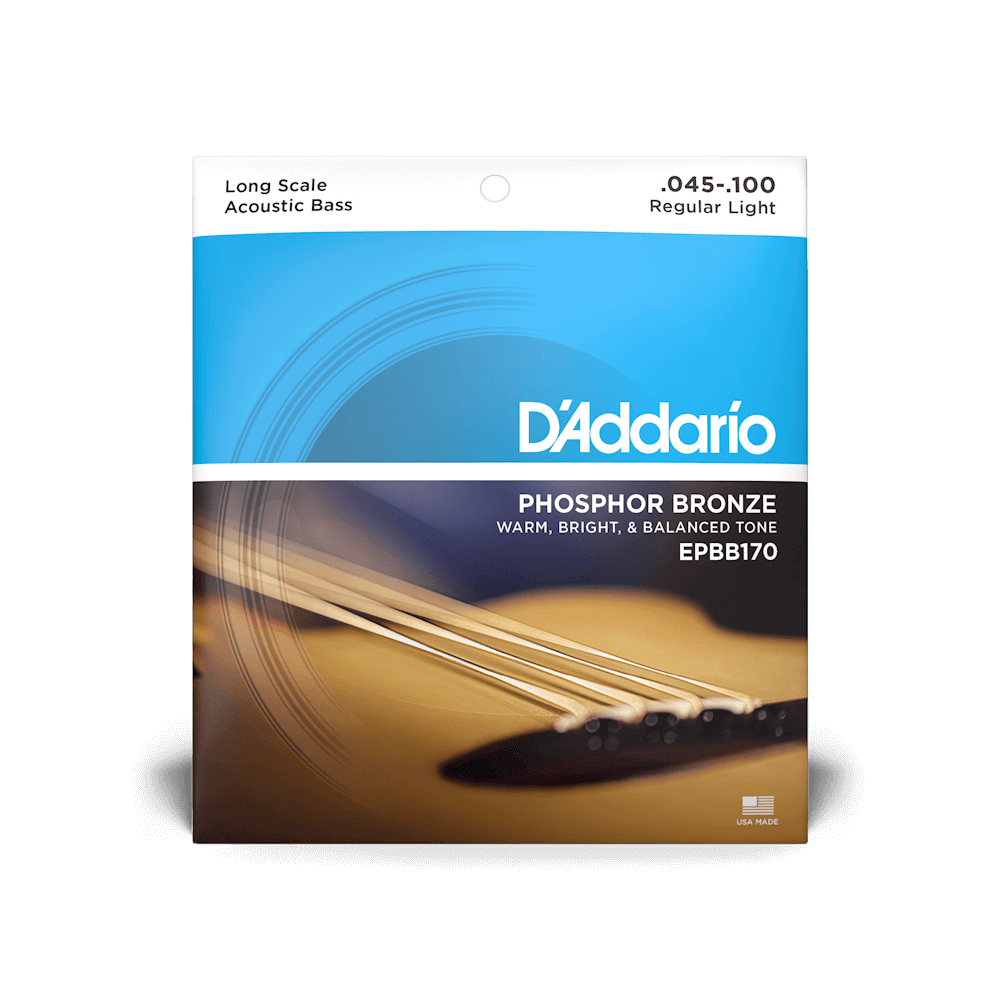 D'Addario Regular Light 45-100 Long Scale Acoustic Bass Strings