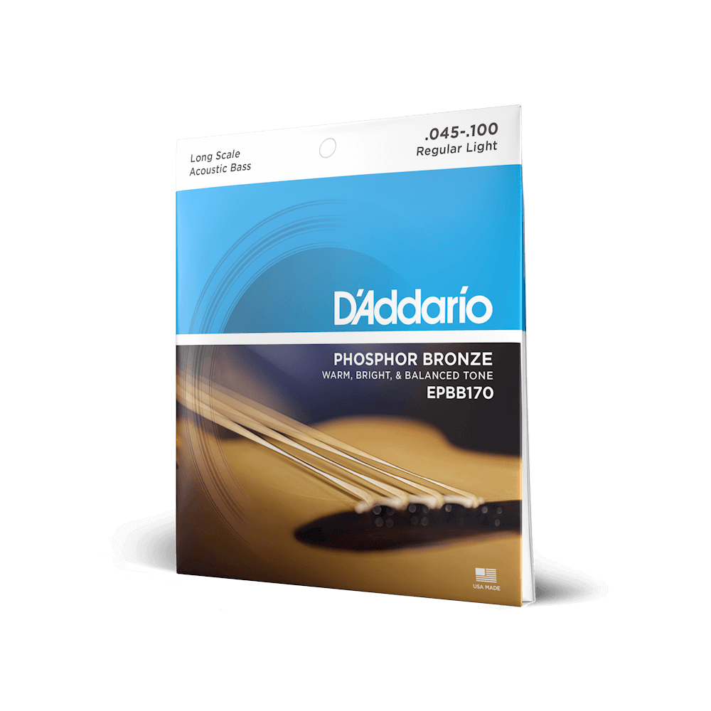 D'Addario Regular Light 45-100 Long Scale Acoustic Bass Strings