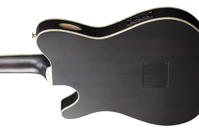 Ibanez Tim Henson Signature Acoustic/Electric Guitar, Transparent Black Flat