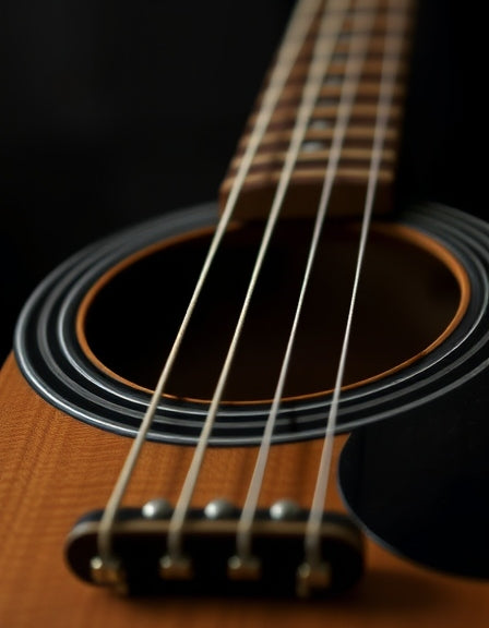 Acoustic Bass Strings