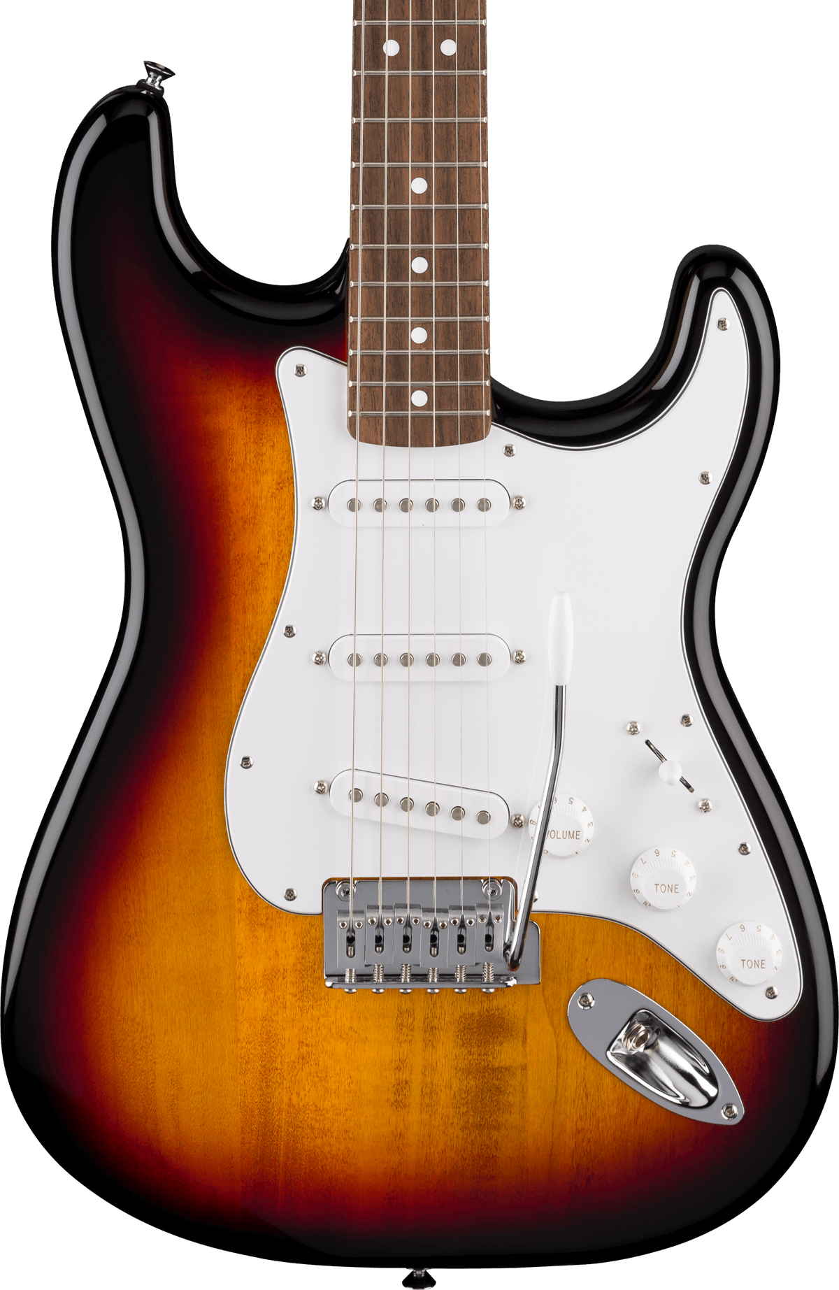 Fender Standard Stratocaster, Laurel Fingerboard