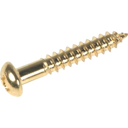 Bigsby Hinge Mounting Screws (4)