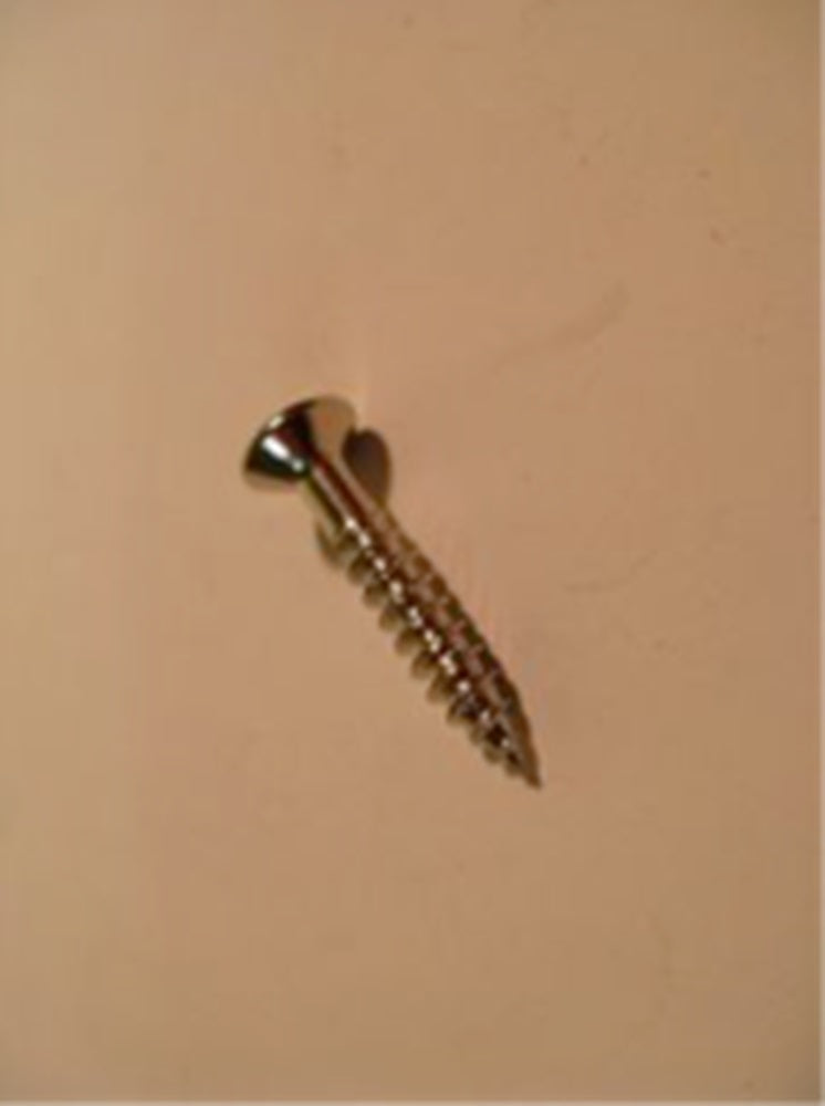 Bigsby Bridge Mounting Screws (4)