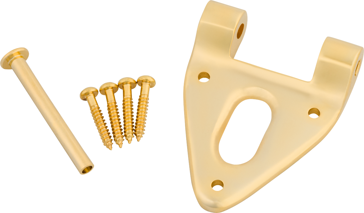 Bigsby B6 Hinge Kit