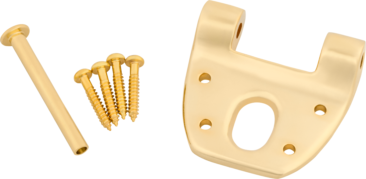 Bigsby B3/B7/B6 Extra Short Hinge Kit