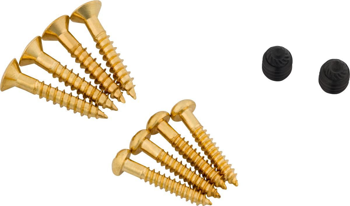 Bigsby Tremolo Screw Pack