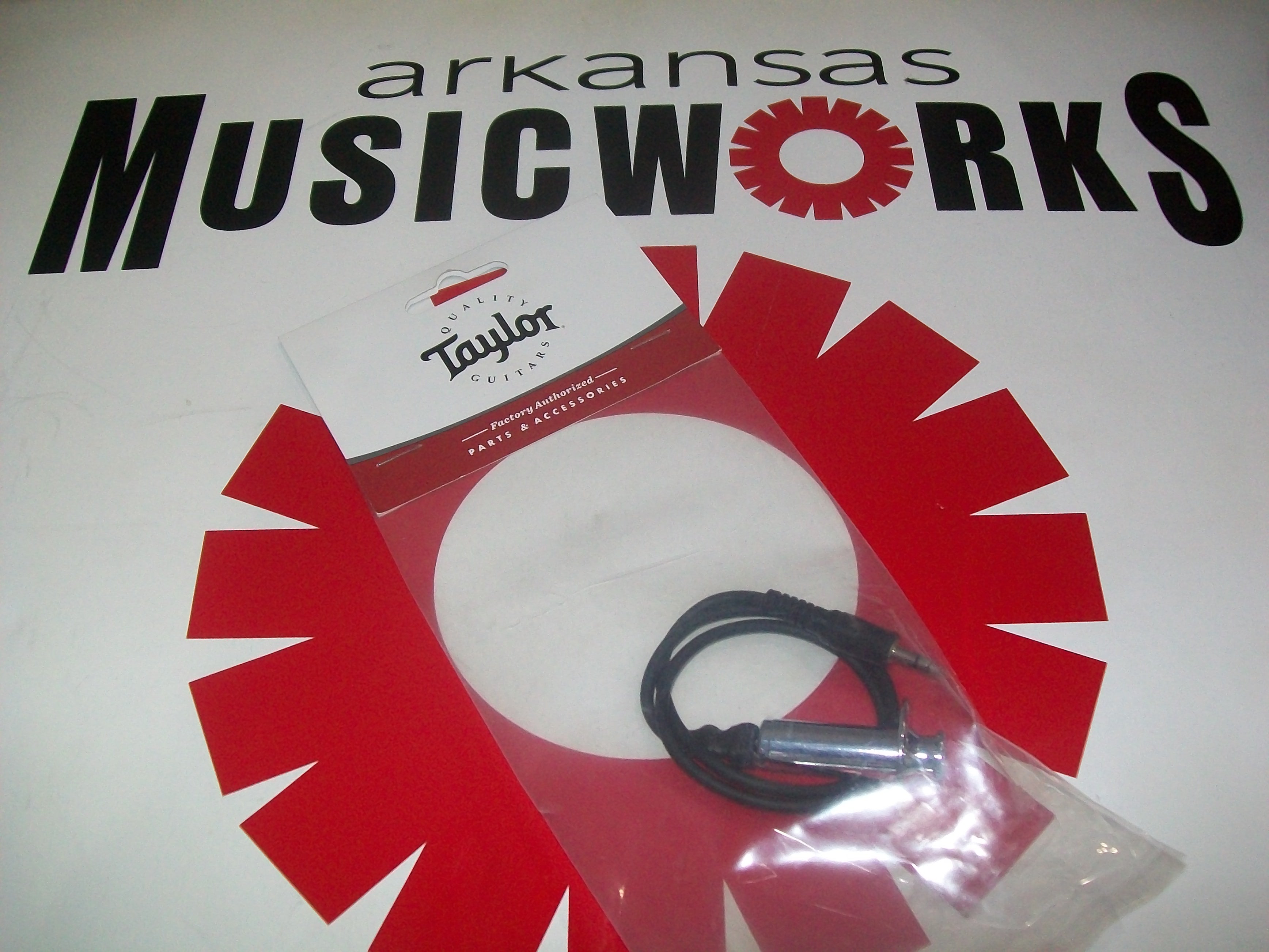 Taylor ES-Go Jack Assembly w/ 1/8" Plug for GS Mini