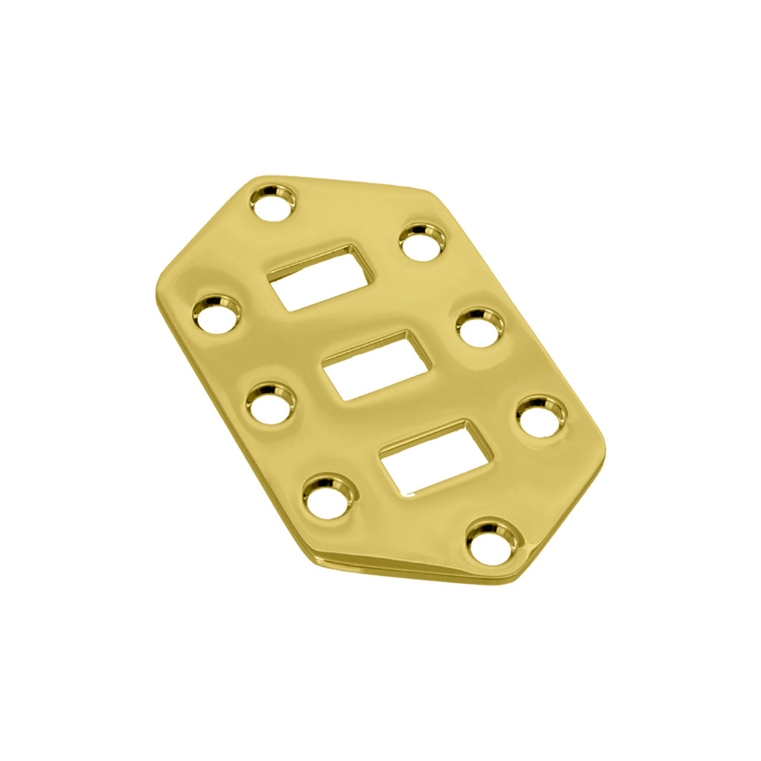 Switch Plate for Jaguar