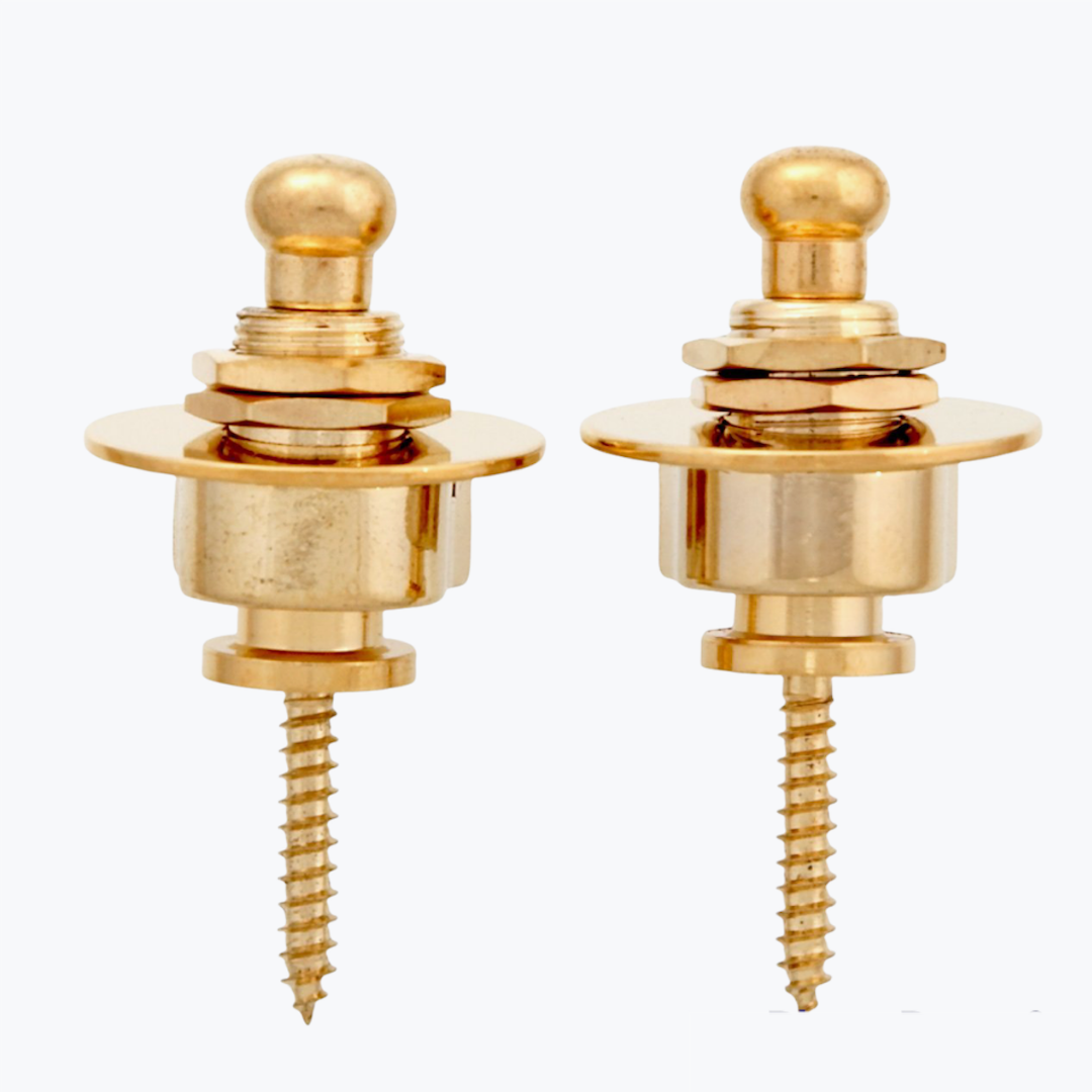 Schaller Style Strap Lock System