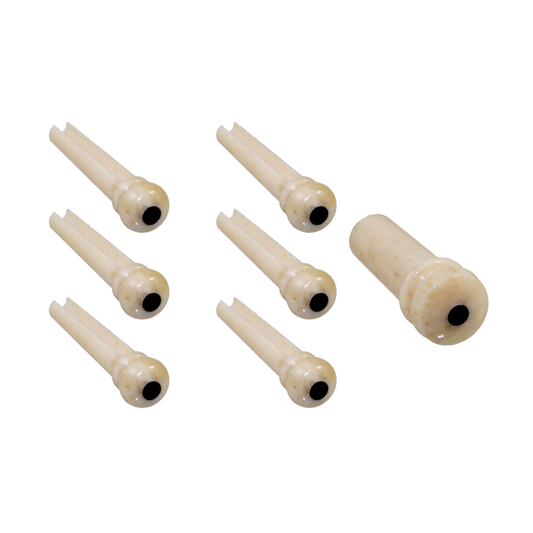 Bridge Pins (6), Camel Bone