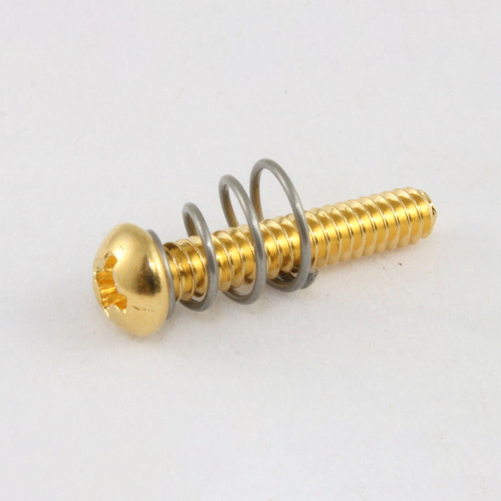 Single Coil Pickup Screws