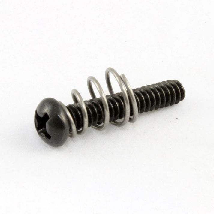Single Coil Pickup Screws