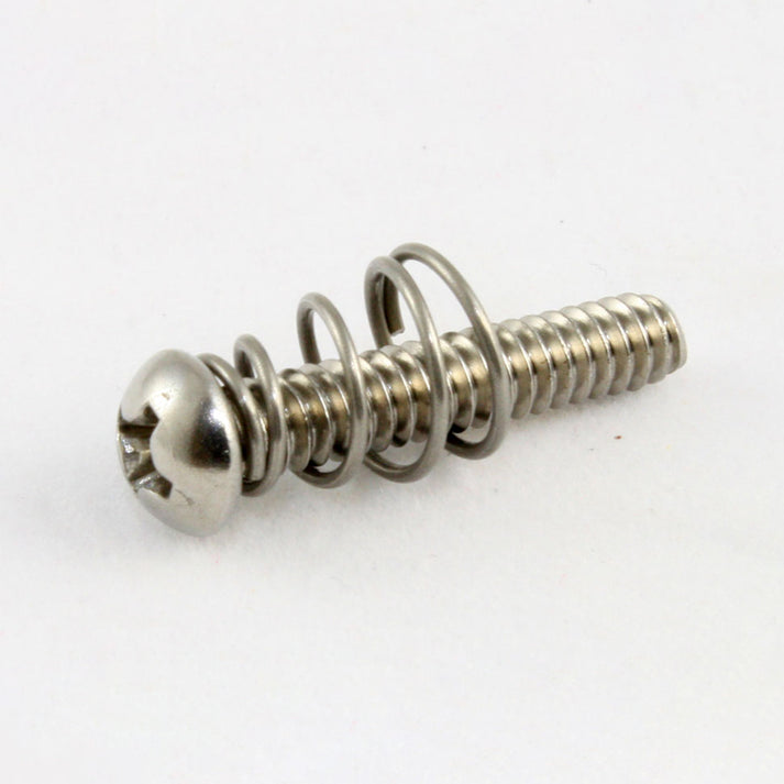 Single Coil Pickup Screws