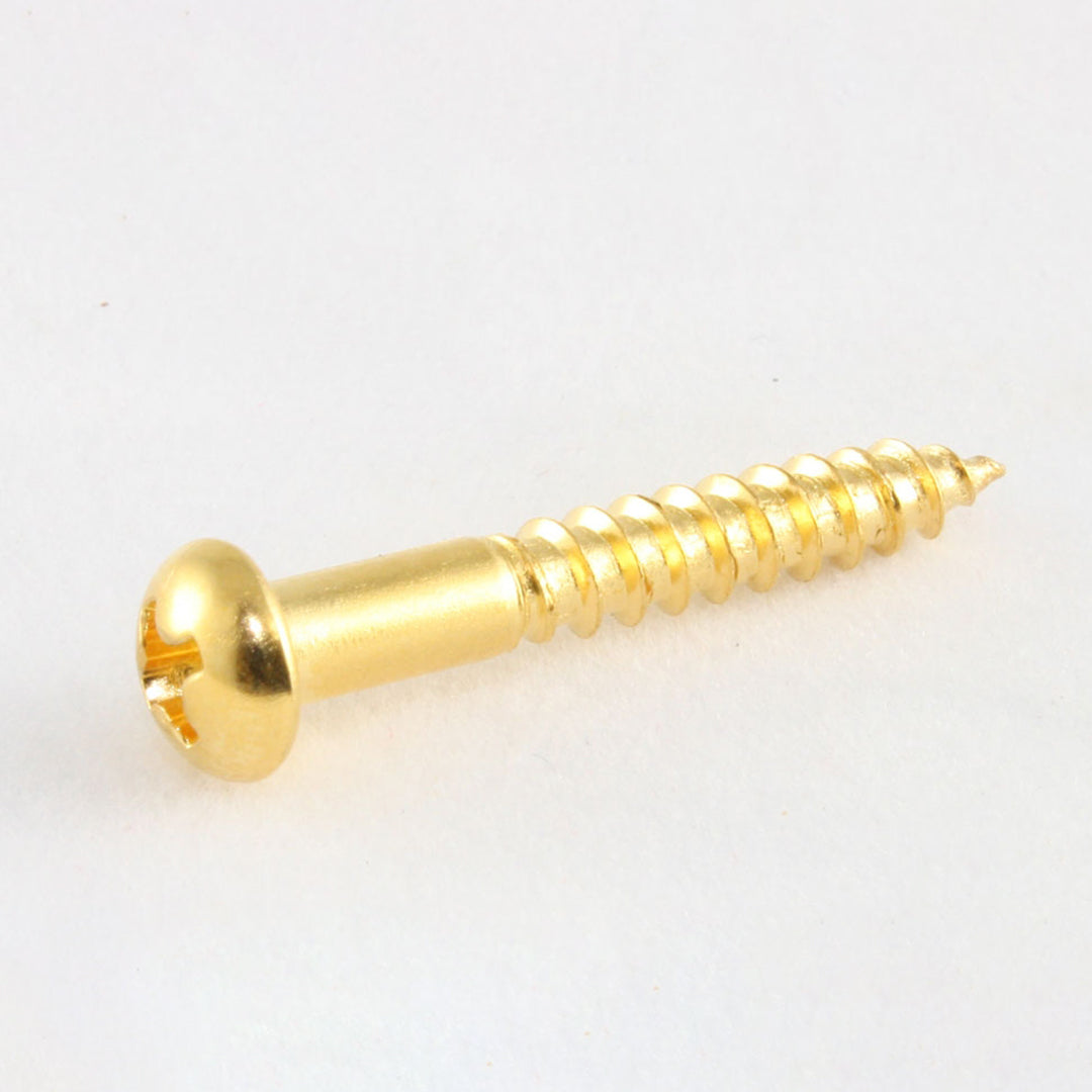 Tremolo Mounting Screws