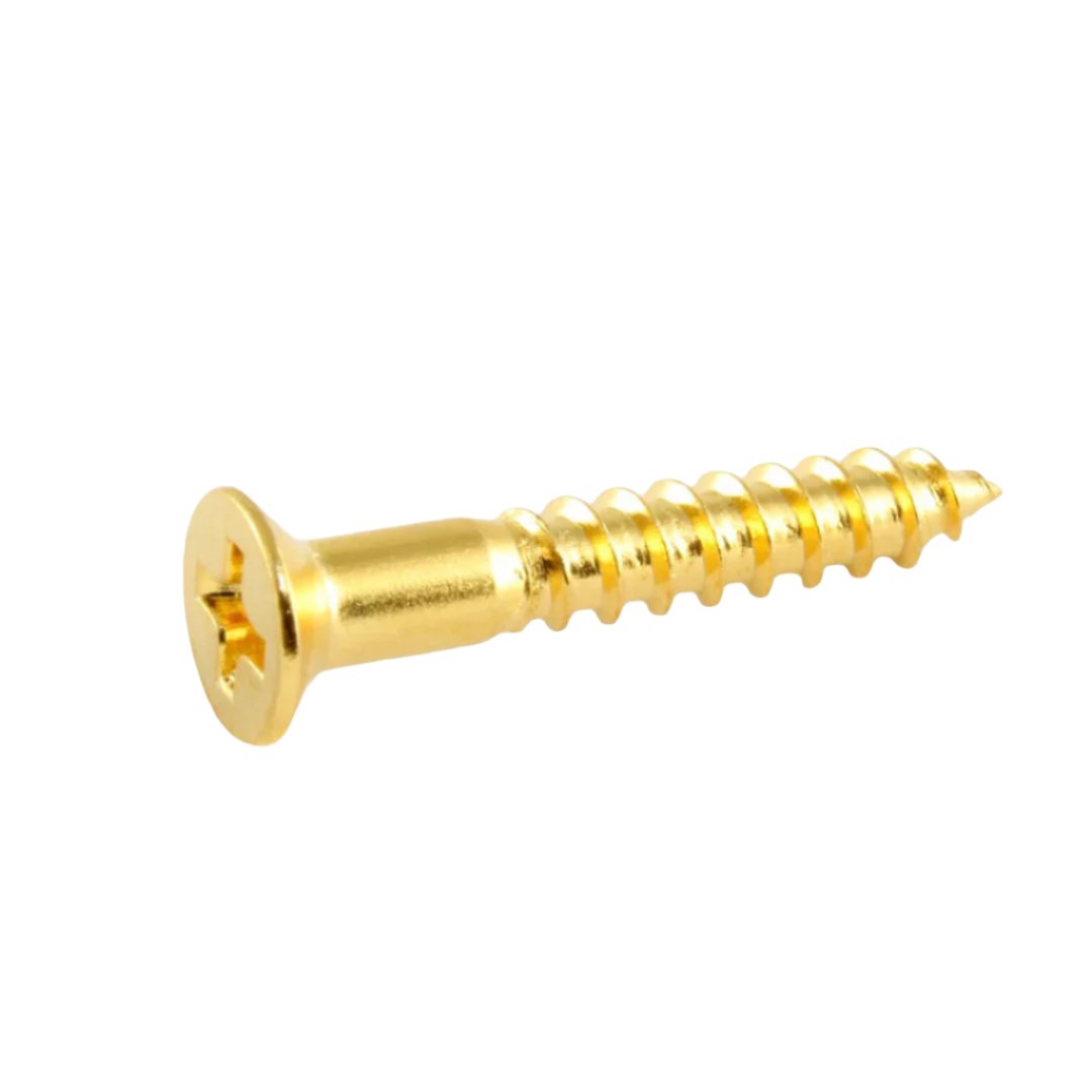 Bridge Mounting Screws for Guitar/Bass