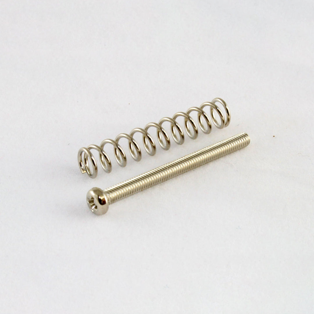 Metric (M2.5) Humbucker Pickup Screws/Springs
