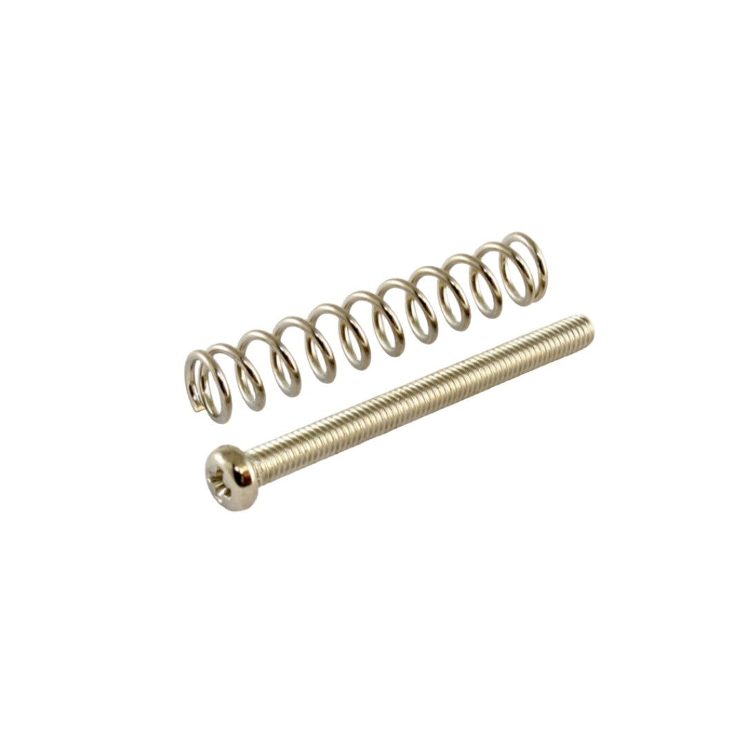Metric (M3) Humbucker Pickup Screws/Springs