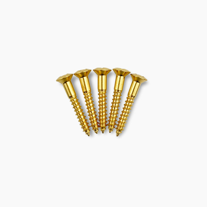 #5 x 1" Bridge Mounting Screws