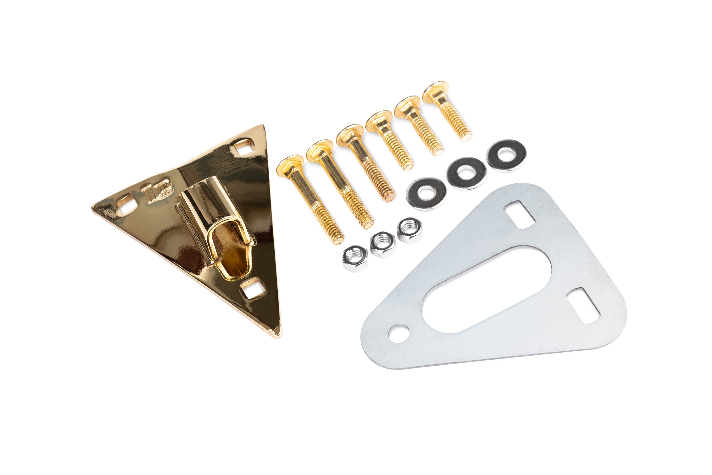 LP Galaxy Conga Side Plate Kit, Gold
