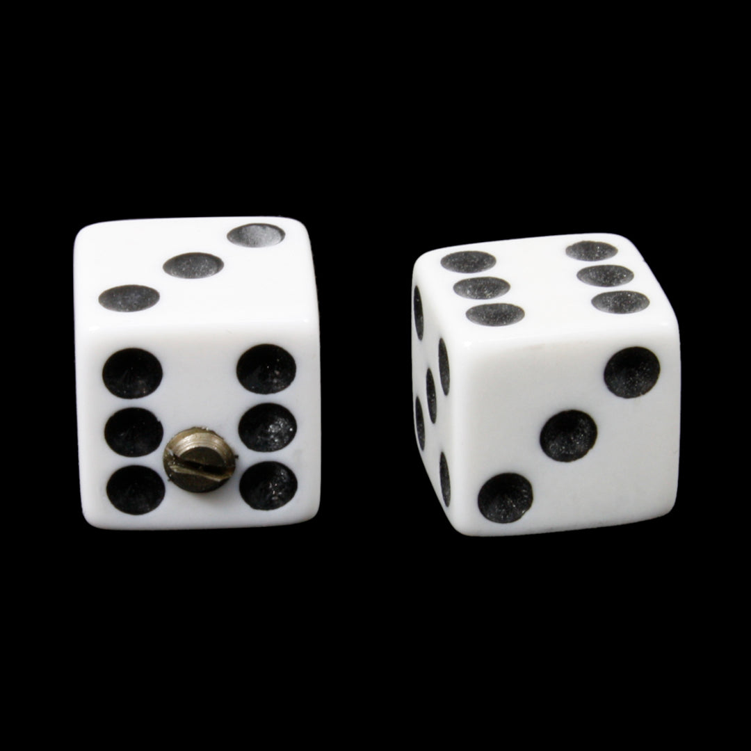 Guitar Dice Knobs (2)