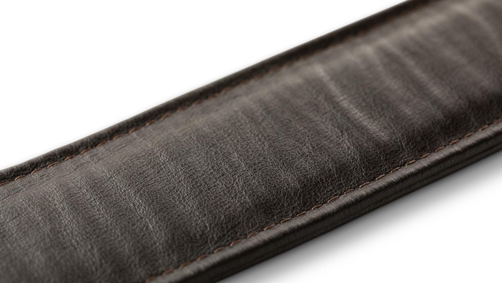 Taylor Spring Vine 2.5 Leather Guitar Strap, Chocolate Brown w/ Embroidered Vine Pattern