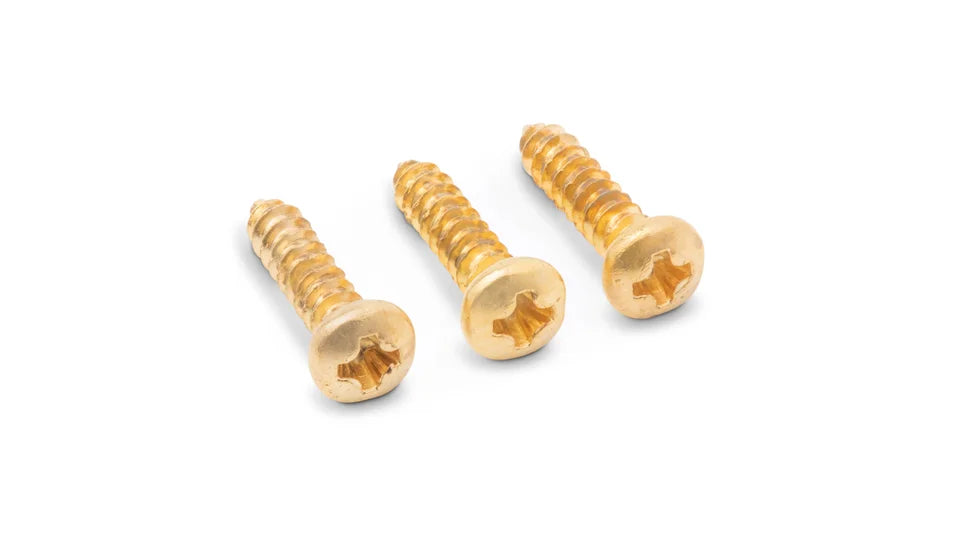 Taylor Truss Rod Cover Screws (3-Pack)