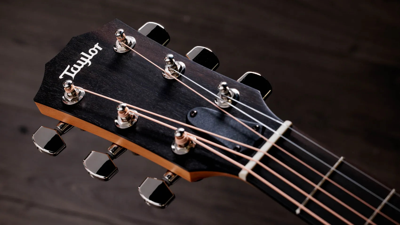 Taylor 214ce Plus Grand Auditorium Acoustic-Electric Guitar