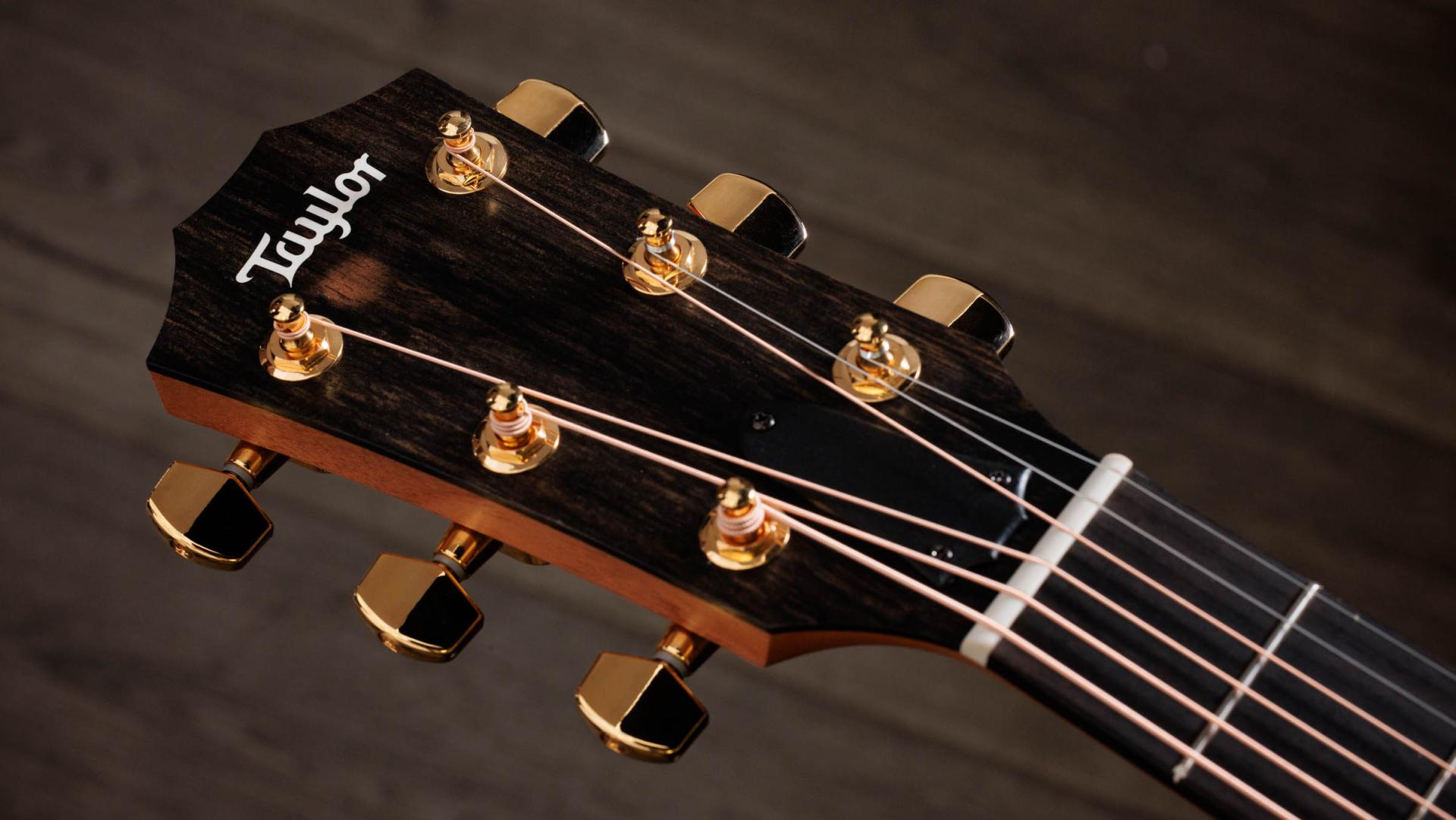 Taylor 224ce-K DLX Grand Auditorium A/E Guitar - Tobacco
