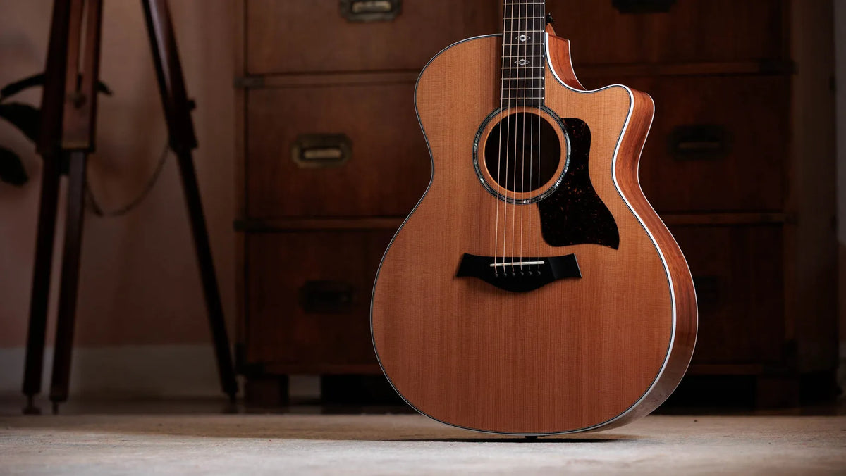 Taylor 514ce Next Generation Acoustic/Electric Guitar, Natural