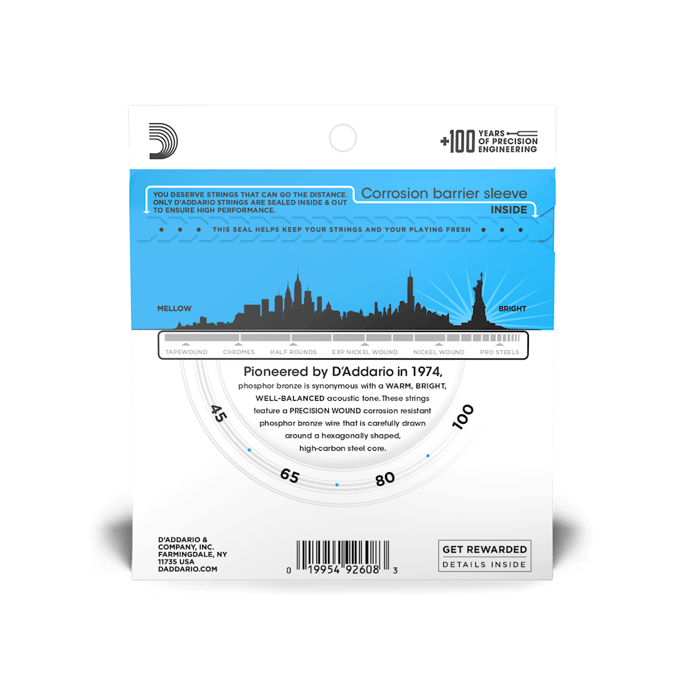 D'Addario Regular Light 45-100 Long Scale Acoustic Bass Strings